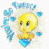 brenda78337
